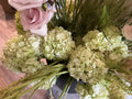 Hydrangea