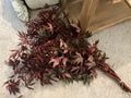 Read leaves
