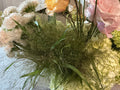 Explosion grass