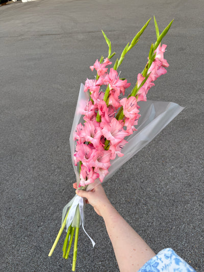 5 gladiolus